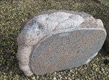 14D - Fabeldyr - 1.900,-